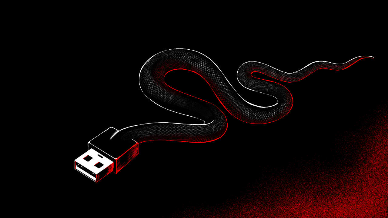 A snake with the head of USB plug.